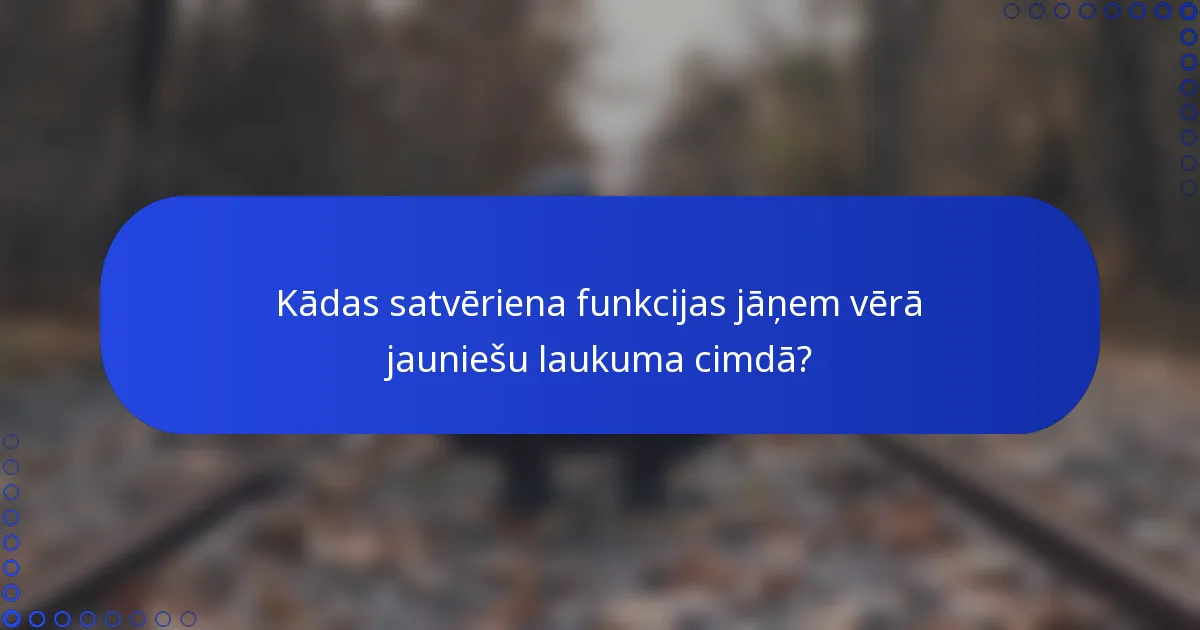 Kādas satvēriena funkcijas jāņem vērā jauniešu laukuma cimdā?