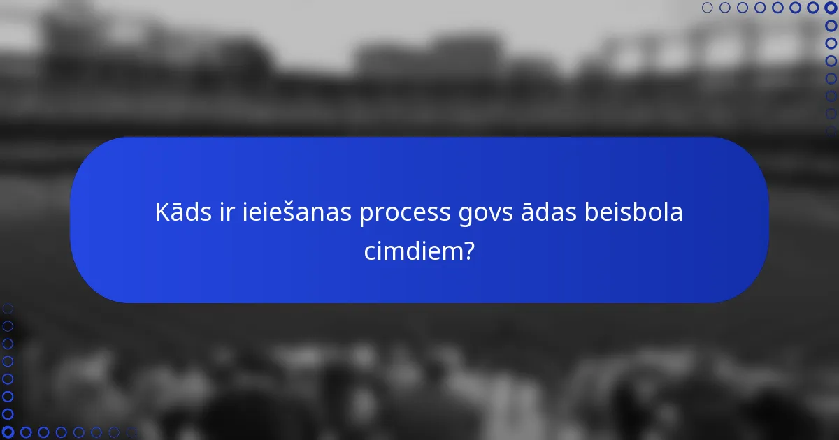 Kāds ir ieiešanas process govs ādas beisbola cimdiem?