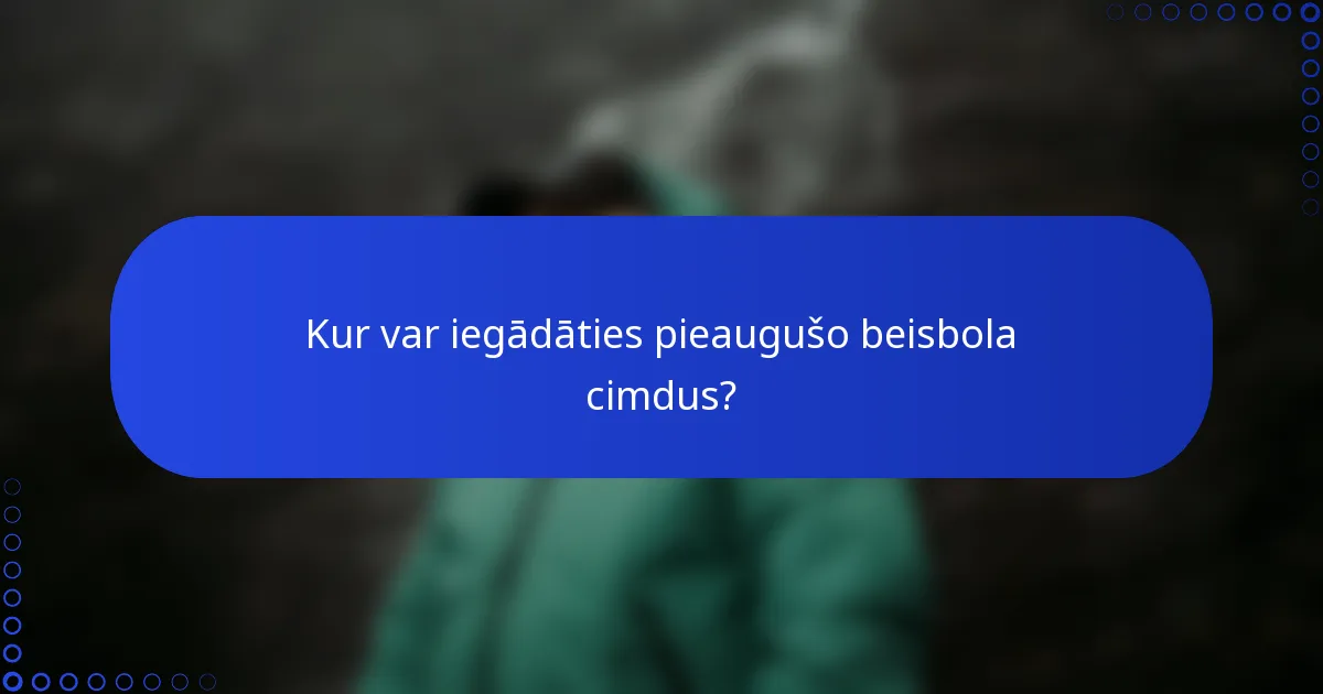 Kur var iegādāties pieaugušo beisbola cimdus?