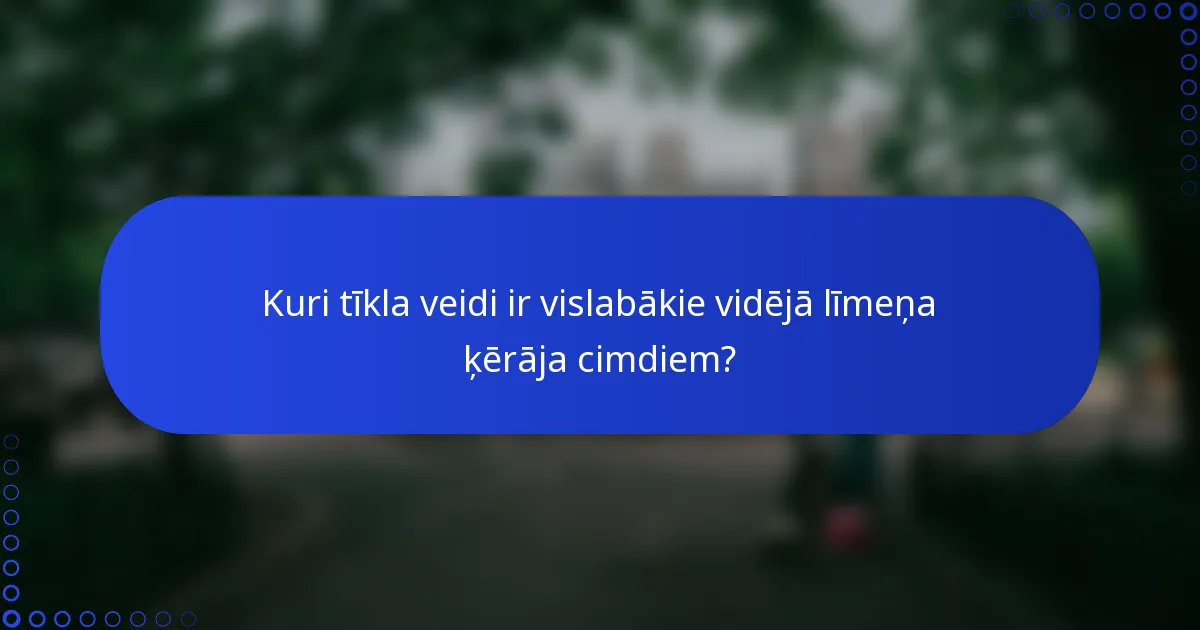 Kuri tīkla veidi ir vislabākie vidējā līmeņa ķērāja cimdiem?