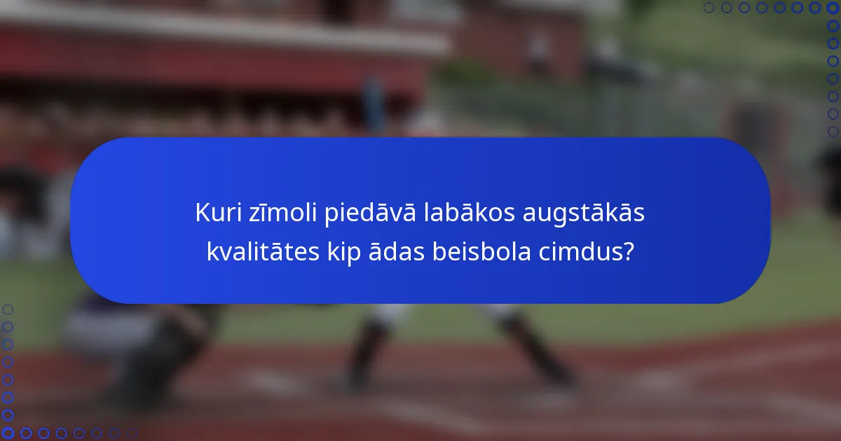 Kuri zīmoli piedāvā labākos augstākās kvalitātes kip ādas beisbola cimdus?