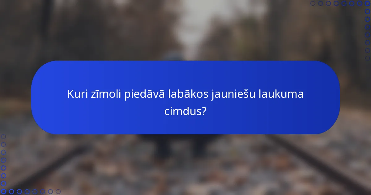 Kuri zīmoli piedāvā labākos jauniešu laukuma cimdus?